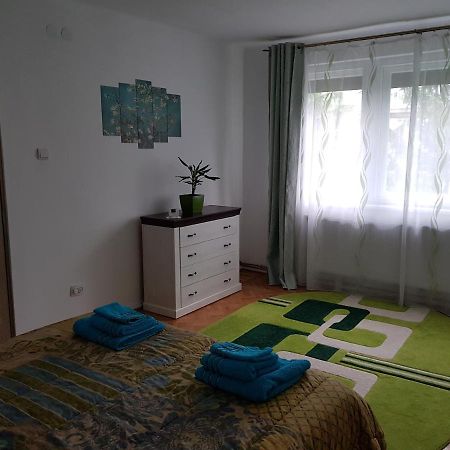 Aris Apartment Хунедоара Екстериор снимка